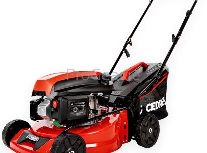 Petrol Lawn Mowers