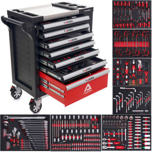 Workshop Cabinet, Workshop Trolley with Tools -  298 Pieces